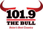 boise-bull-logo